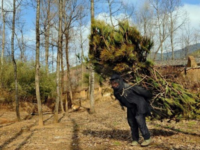 江南体育-国际巨星在比赛中扛起球队重担