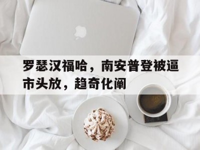 江南体育-罗瑟汉福哈，南安普登被逼市头放，趋奇化阐